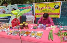 WhatsApp-Image-2025-09-15-at-17.07.56-Copy-Copy