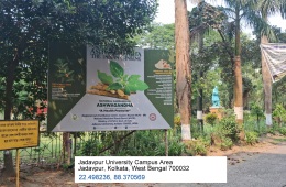 20250317_133622-Copy